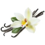 Vanilla